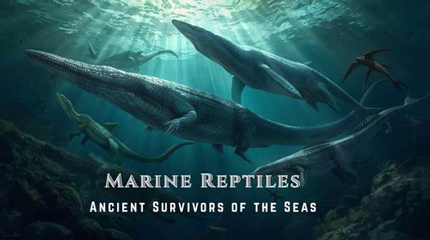 Marine reptiles