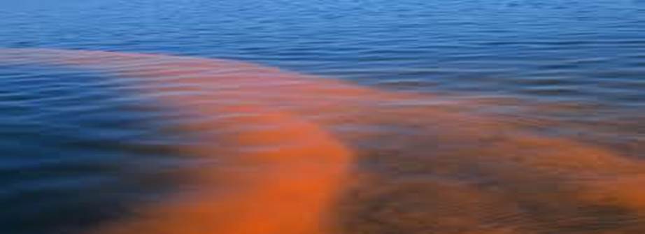 Red Tides