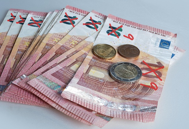 Rainforest biodiversity