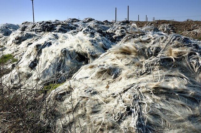 plastic pollution crisis