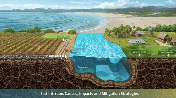 Salt intrusion