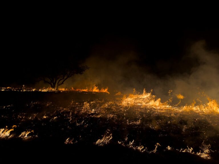 Peat fires