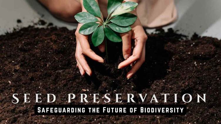 Seed preservation