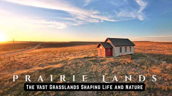 prairie lands