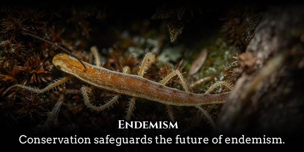 Endemism
