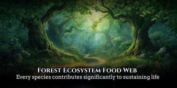 forest ecosystem food web