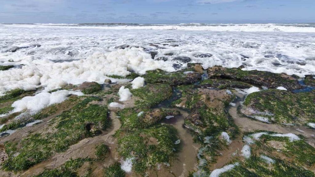 Ocean deoxygenation