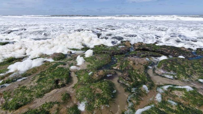 Ocean deoxygenation