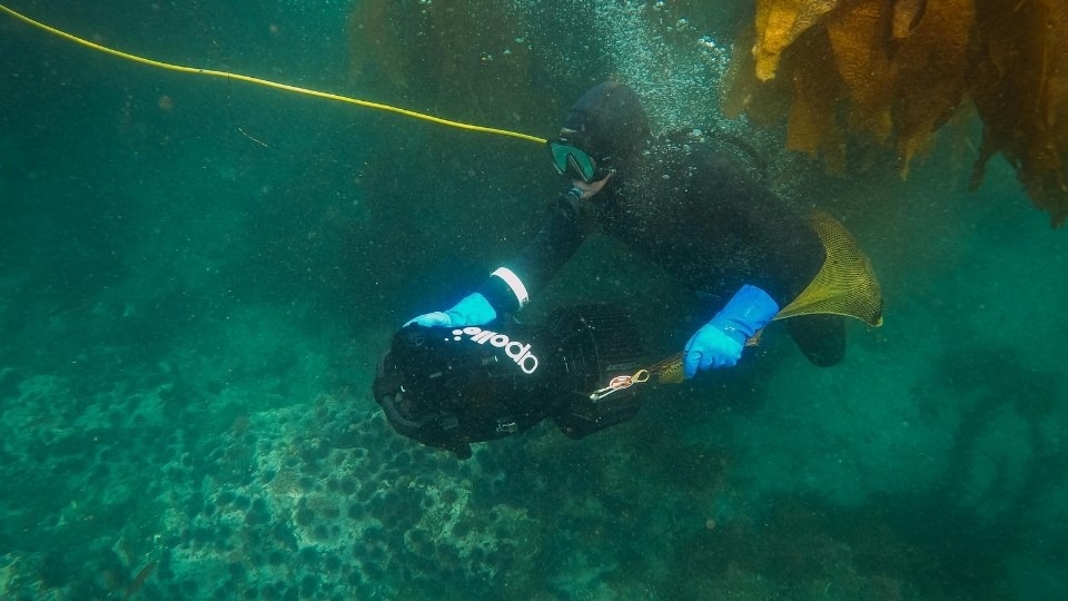 Scientists Monitor Dissolved Ocean Oxygen