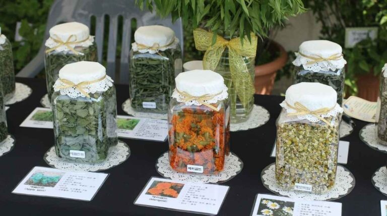 Seed preservation