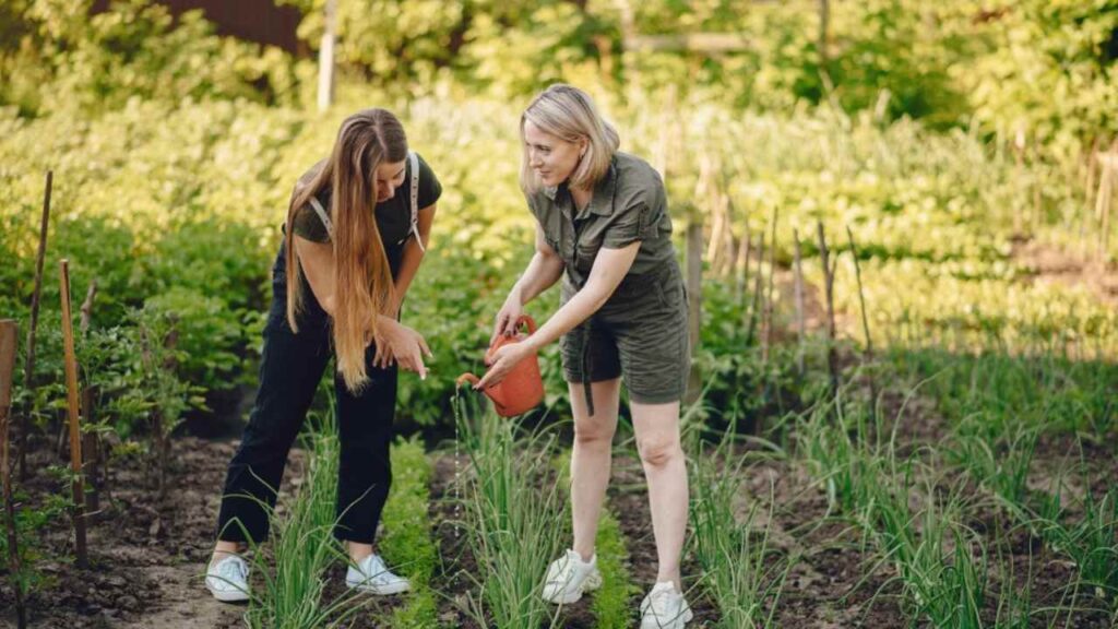 Volunteer for tree planting