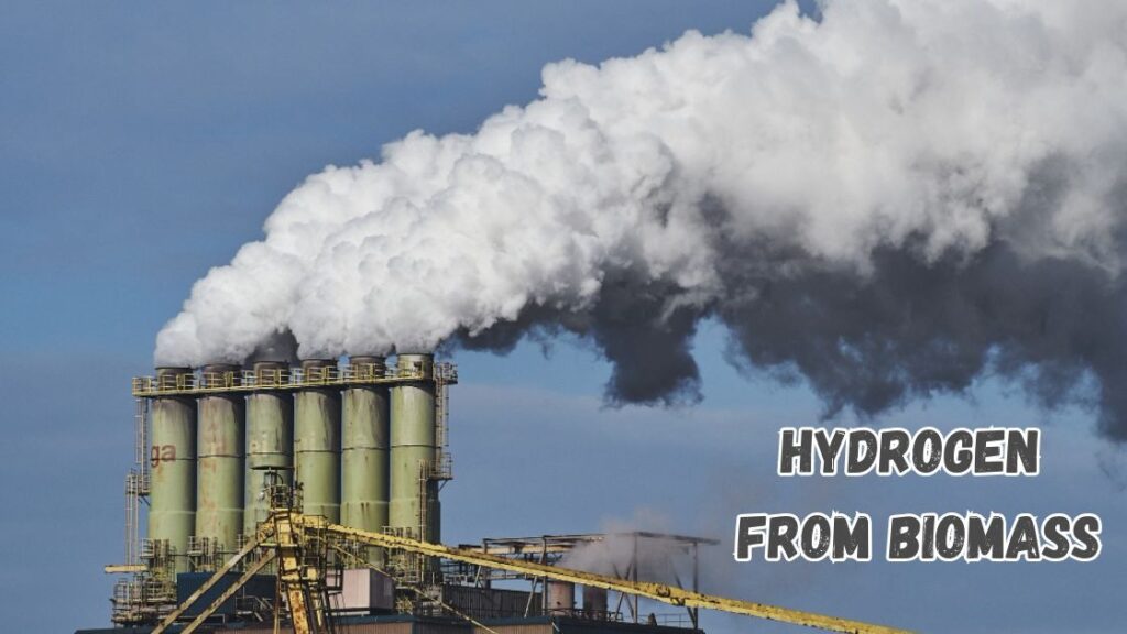 Hydrogen from biomass