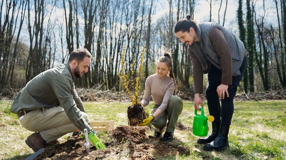 global environmental goals