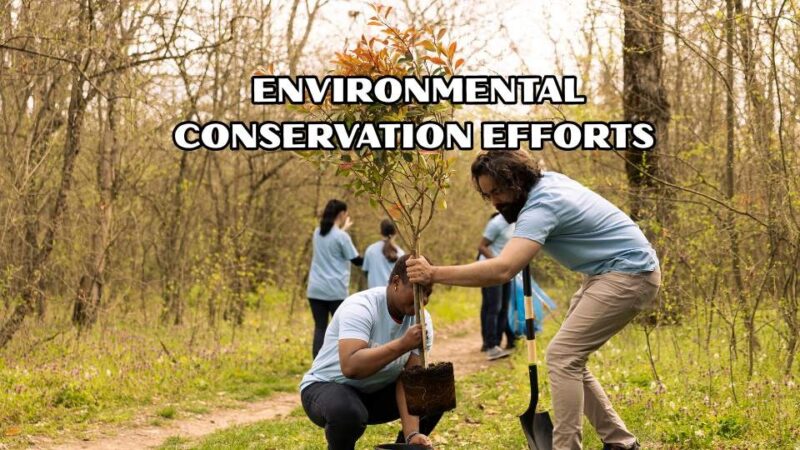 Environmental conservation efforts