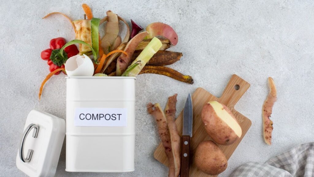 eco-conscious packaging