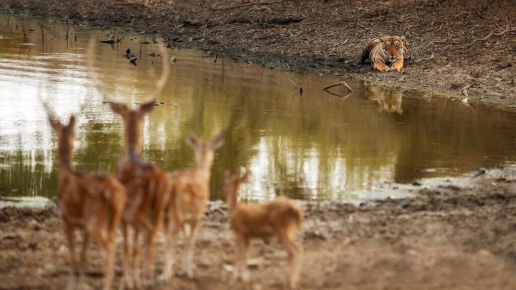 habitat conservation