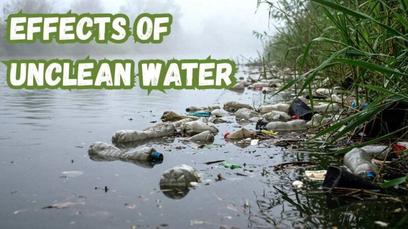 effects of unclean water