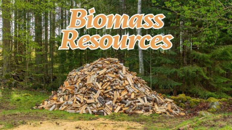 Biomass resources