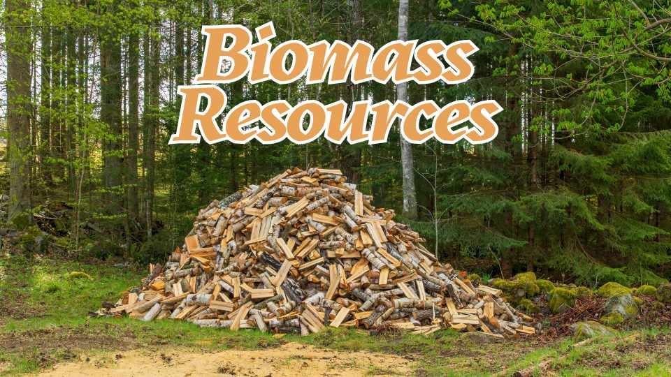 Biomass resources