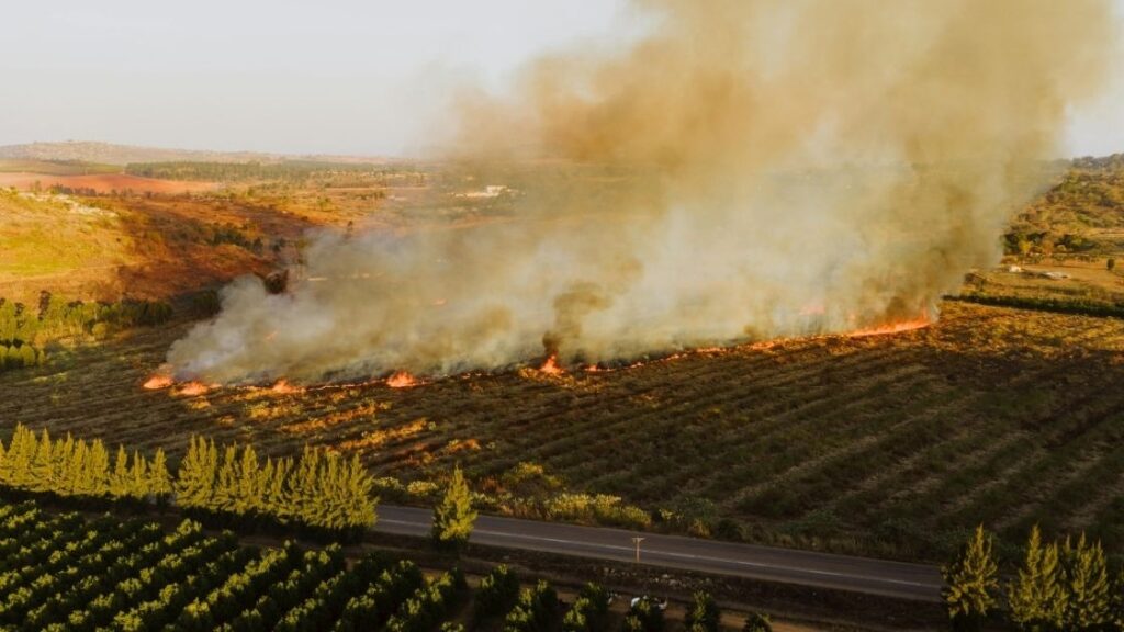 Landfill and open burning reduction
