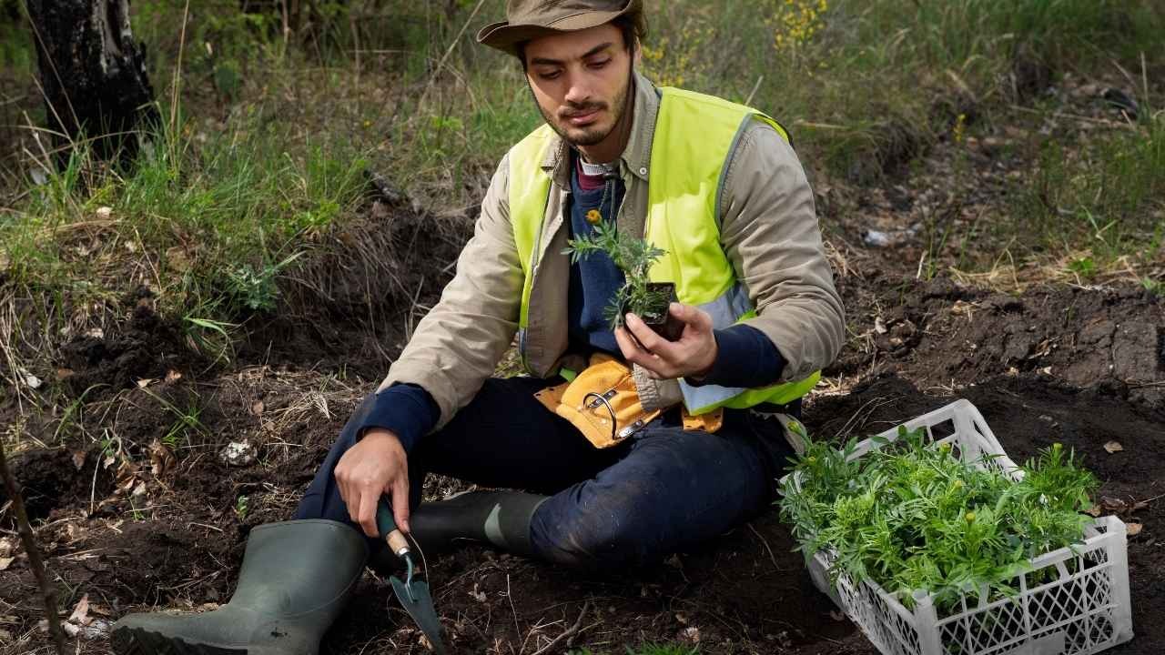 Cadmium toxicity and tolerance in plants