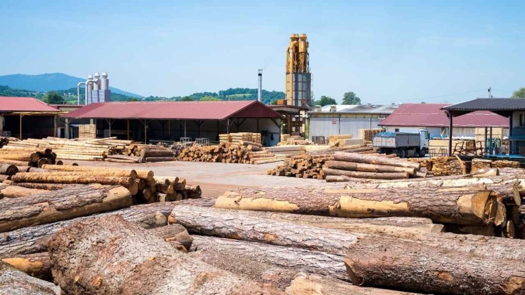 Biomass resources