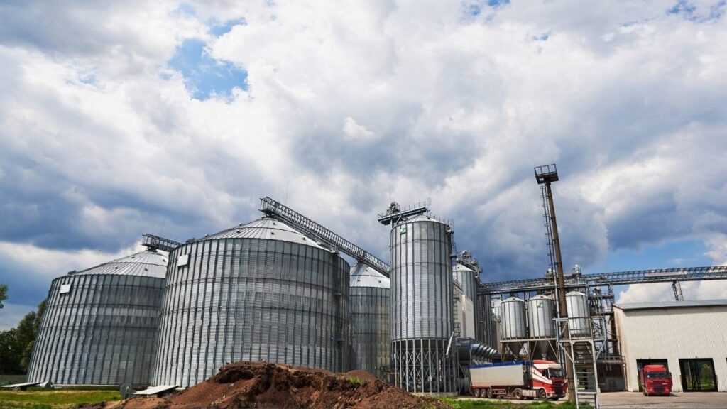 Bioenergy Sector