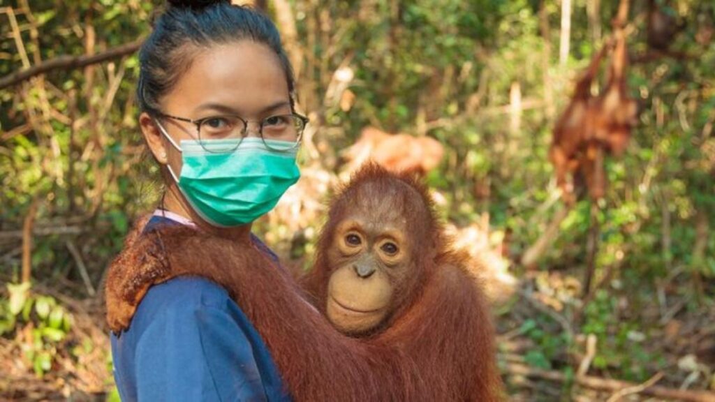 endangered species protection