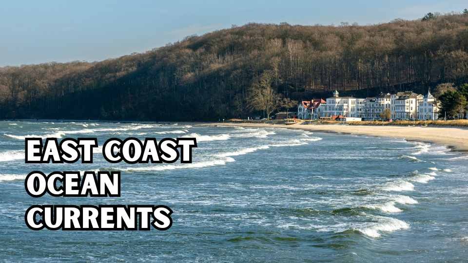 east coast ocean currents