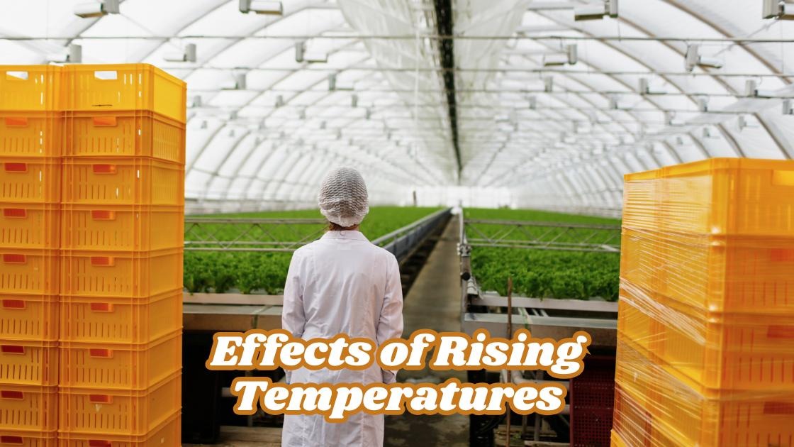 effects of rising temperatures