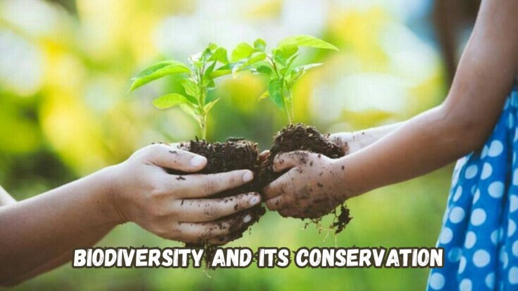 Biodiversity and its conservation