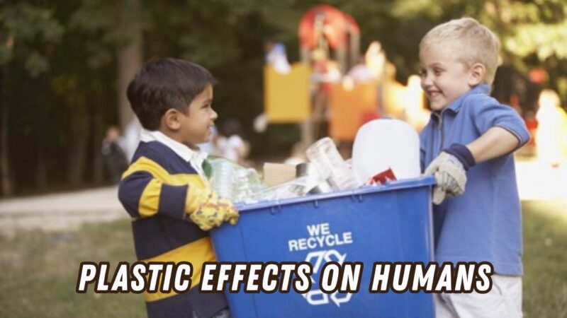 Plastic effects on humans