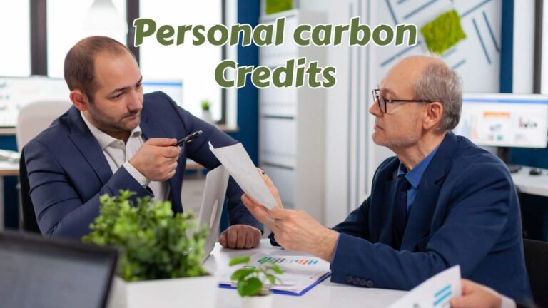 Personal carbon credits