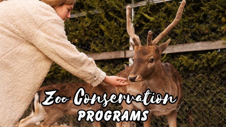 Zoo conservation programs
