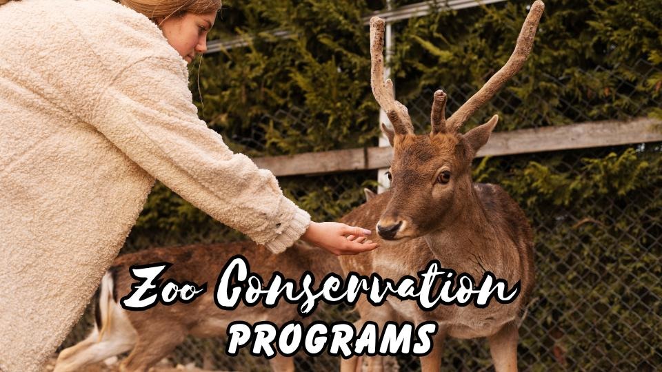 Zoo conservation programs