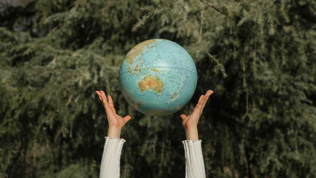 reforestation projects