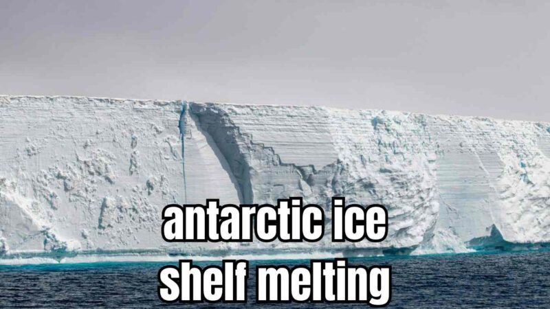 antarctic ice shelf melting