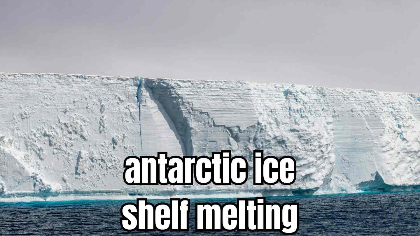 antarctic ice shelf melting