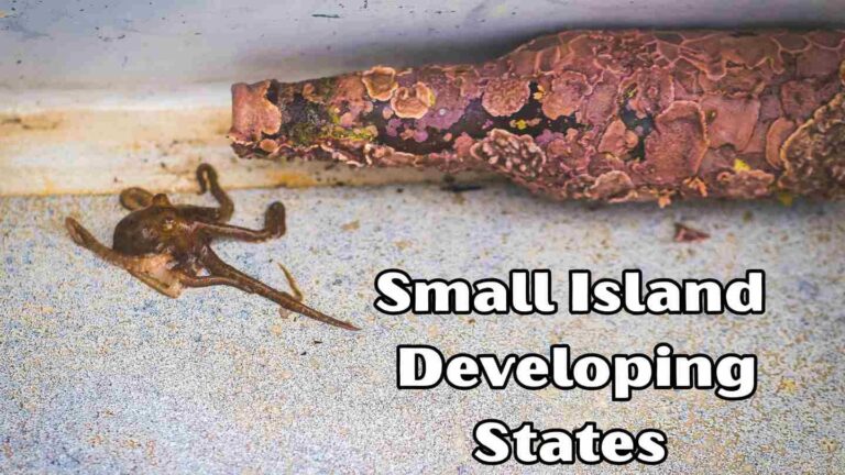 Small Island Developing States