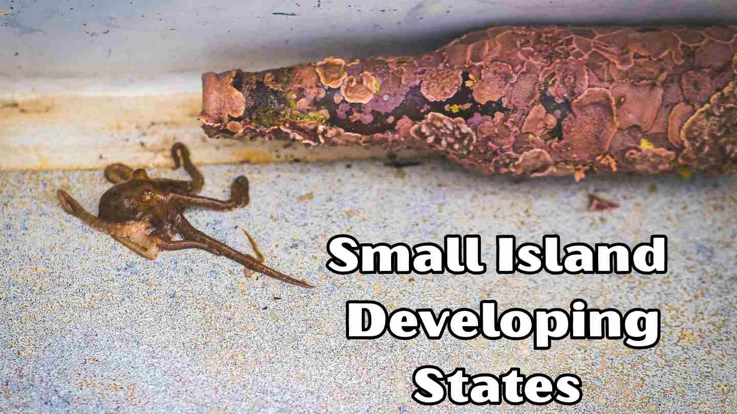 Small Island Developing States