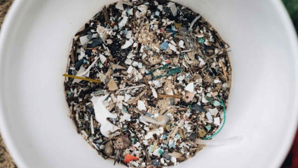 Microplastics 