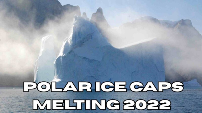 Polar Ice Caps Melting 2022