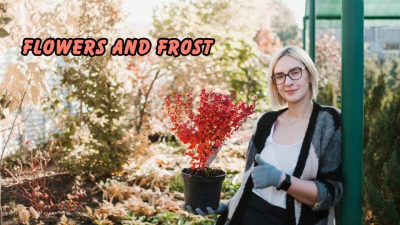 Flowers and Frost