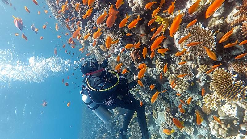 Sustainable fishing practices