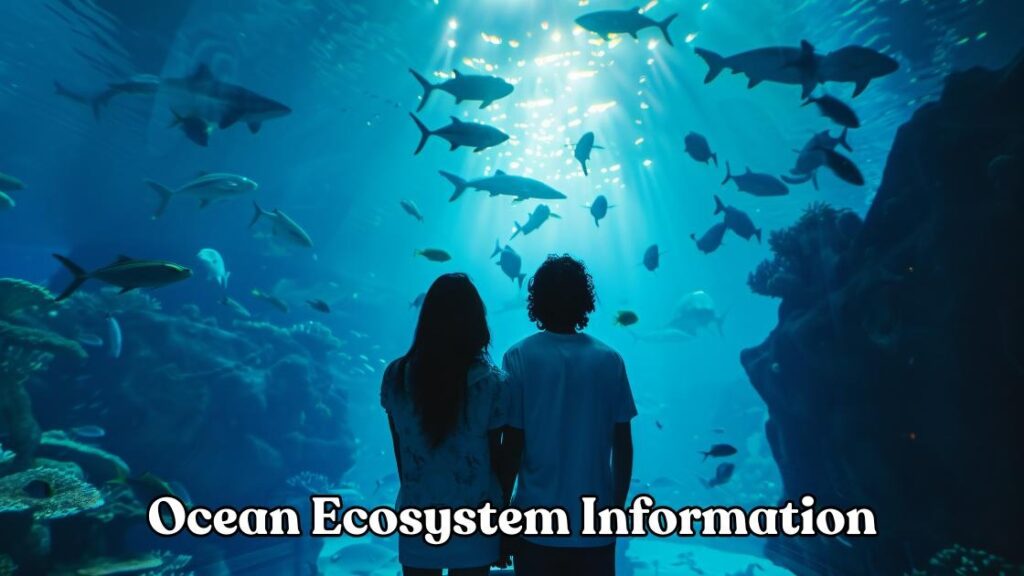 ocean ecosystem information