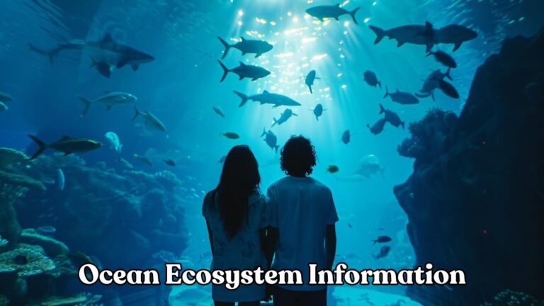ocean ecosystem information