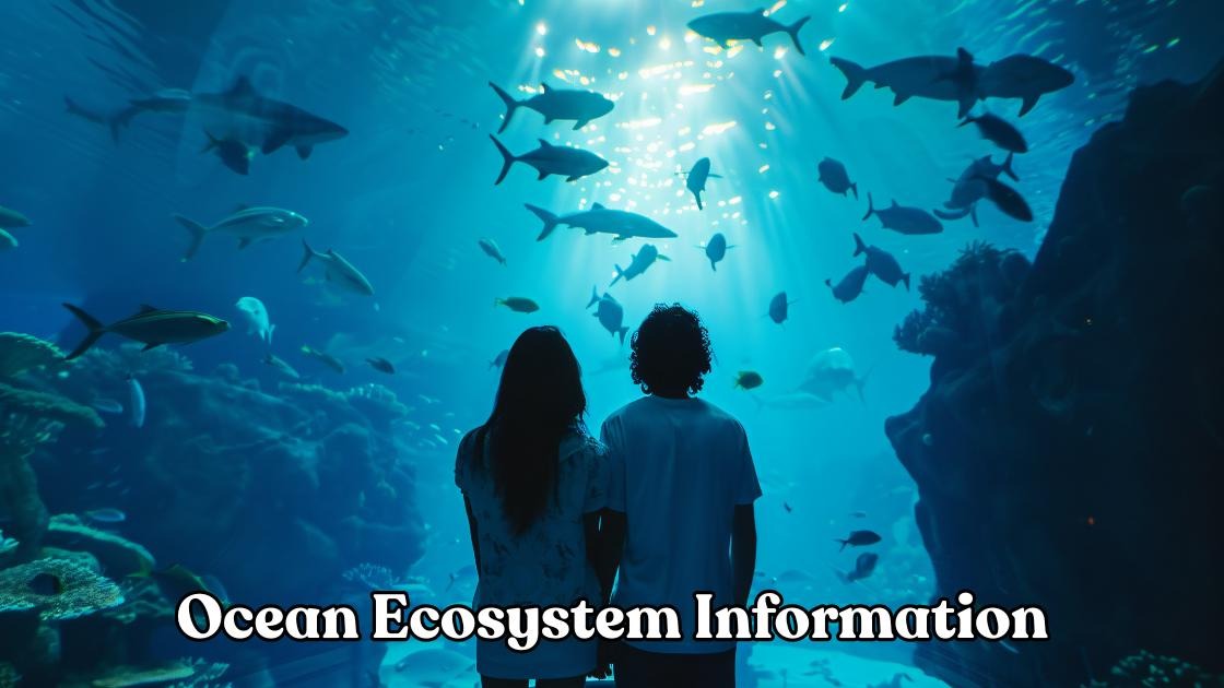ocean ecosystem information
