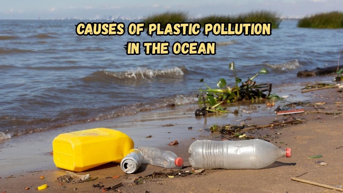 Causes of Plastic Pollution in the Ocean