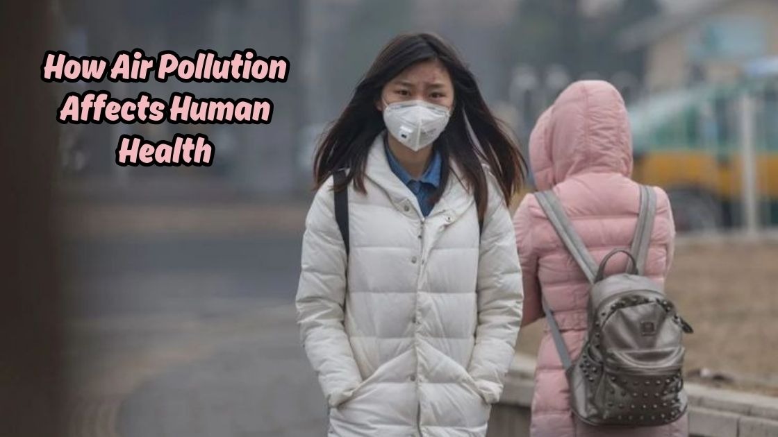 how air pollution affects human health