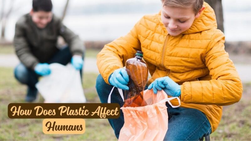 how does plastic affect humans